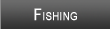 Shawano Lake Fishing